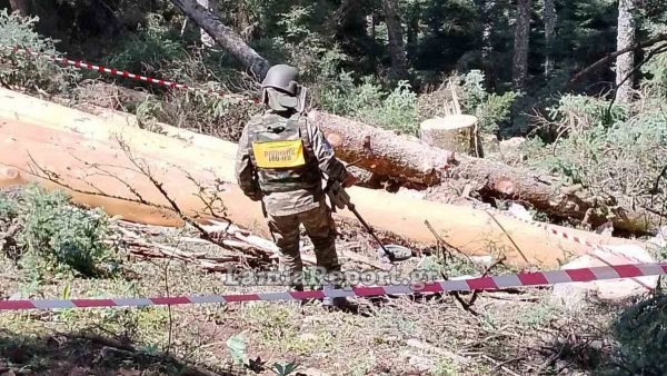 Ευρυτανία: Εντοπίστηκε χειροβομβίδα στο δάσος από υλοτόμους (ΦΩΤΟ)