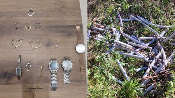 Φωκίδα: Αστυνομικοί πρόλαβαν το πλιάτσικο σε παλιό ξενοδοχείο - Δύο συλλήψεις