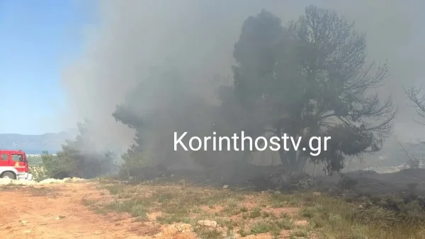 Κορινθία: Φωτιά σε πευκοδάσος στο Ζευγολατιό – Μεγάλη κινητοποίηση της Πυροσβεστικής