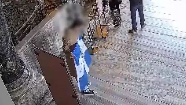 Συνελήφθησαν δύο Έλληνες που σήκωσαν ελληνική σημαία με τον βυζαντινό αετό μέσα στην Αγία Σοφία, δείτε βίντεο