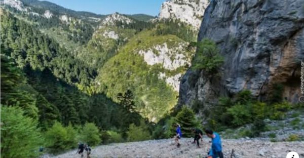 Απαγορεύσεις στην κυκλοφορία για τη διεξαγωγή του Ορεινού Αγώνα «Μονοπάτι Παρνασσού»