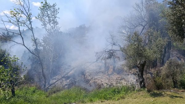 Συνελήφθη 56χρονος για πρόκληση πυρκαγιάς στην Εύβοια