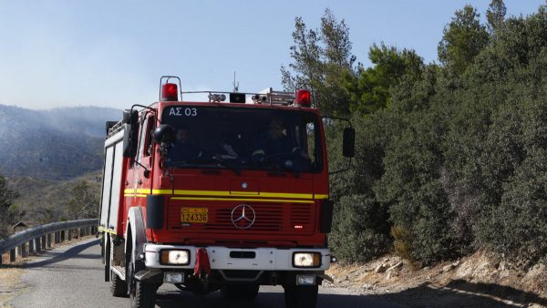 Διπλό πρόστιμο στη Βοιωτία για καύση ξηρών χόρτων