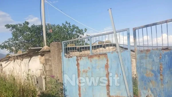 Καλαμάτα: Βρέθηκε το όπλο με το οποίο πυροβολήθηκε ο 44χρονος – Τα σενάρια που εξετάζουν οι αρχές