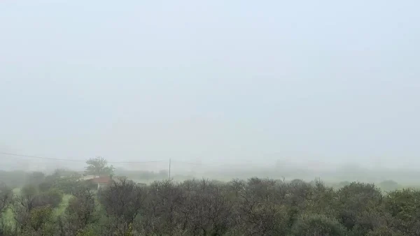 Εντυπωσιακό φαινόμενο στη Σπάρτη - Πυκνή ομίχλη «εξαφάνισε» τον Ταΰγετο