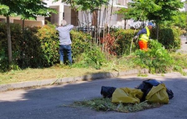 Προγραμματισμένες εργασίες κλαδέματος από την Υπηρεσία Πρασίνου του Δήμου Λαμιέων