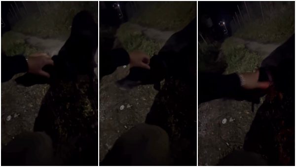 Βρέθηκε σκυλάκι στην περιοχή των Καλυβίων