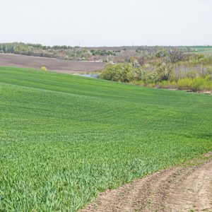 Πωλείται αγροτεμάχιο στον Σταυρό Λαμίας