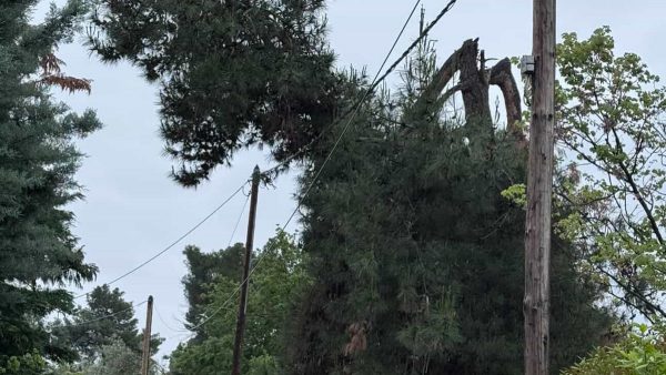 Σπασμένο δέντρο στο Ασπρονέρι