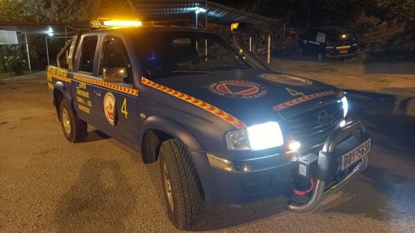 Αντιμέτωπα με αγριογούρουνα ήρθαν τρία παιδιά στη Γορίτσα Μαγνησίας