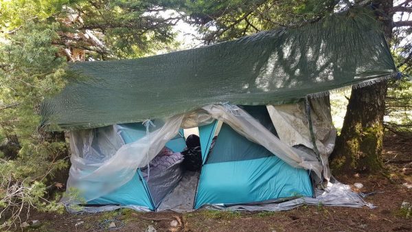 Ευρυτανία: Χασισοφυτεία μέσα στα έλατα εντόπισαν οι αστυνομικοί - Δύο συλλήψεις