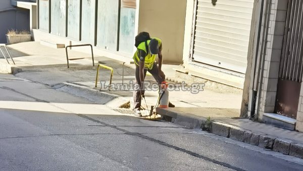 Φθιώτιδα: Που έχουν προγραμματιστεί ψεκασμοί για τα κουνούπια αυτή την εβδομάδα