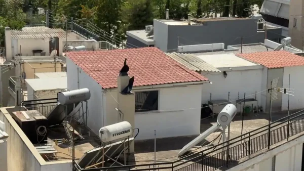 Περιστέρι: Σε αυτό το δώμα και μέσα σε ακαθαρσίες έμεναν τα 6 παιδιά με τους γονείς τους