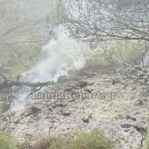 Πυρκαγιά στη δυτική Φθιώτιδα από κεραυνό - Τσουχτερό πρόστιμο στη Λοκρίδα για άναμμα φωτιάς