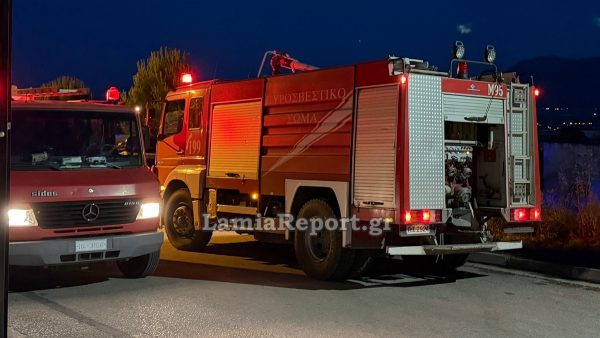 Φθιώτιδα: Δύο επικίνδυνες εστίες φωτιάς σε Κωσταλέξι και Καινούριο μέσα σε λίγες ώρες