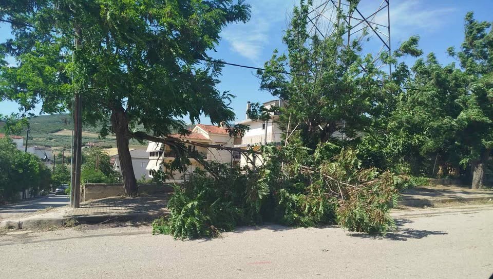 Κλωνάρι δέντρου έπεσε λόγω αέρα στον Συνοικισμό Ευρυτάνων