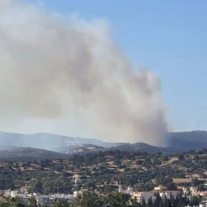 Μάχη με τις αναζωπυρώσεις στην φωτιά στην Εύβοια: Επιχειρούν 120 πυροσβέστες, δόθηκε εντολή εκκένωσης σε Μεσοχώρια και Ραπταίοι