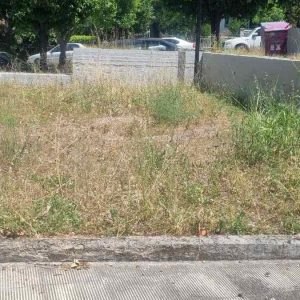Παρέμβαση στην πλατεία Αιγίνης