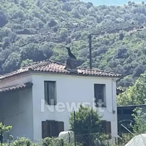 Αιτωλοακαρνανία: Ισόβια στον 68χρονο πρώην αστυνομικό που σκότωσε τον 95χρονο πατέρα του