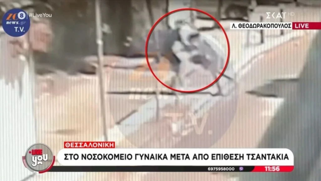 Βίντεο-ντοκουμέντο από επίθεση στη Νέα Ιωνία Αττικής: Άρπαξε αλυσίδα από ηλικιωμένη και την πέταξε στο έδαφος