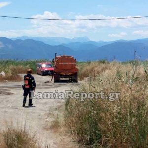 Πυρκαγιά σε αγροτική έκταση στην Ανθήλη - Σηκώθηκαν τα PZL (ΦΩΤΟ)