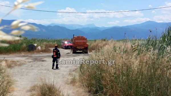 Πυρκαγιά σε αγροτική έκταση στην Ανθήλη - Σηκώθηκαν τα PZL (ΦΩΤΟ)