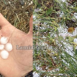 Χαλάζι σε μέγεθος φουντουκιού κατέστρεψε τις δενδροκαλλιέργειες στα Λουτρά Υπάτης (ΒΙΝΤΕΟ)