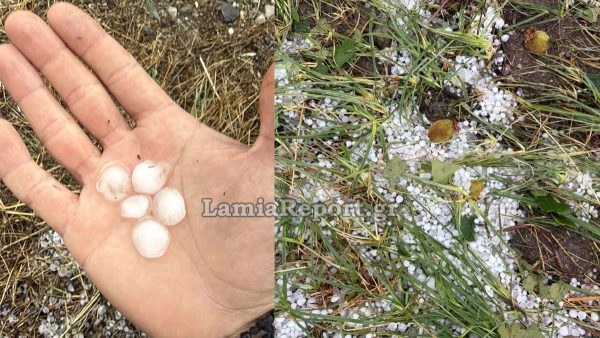 Χαλάζι σε μέγεθος φουντουκιού κατέστρεψε τις δενδροκαλλιέργειες στα Λουτρά Υπάτης (ΒΙΝΤΕΟ)