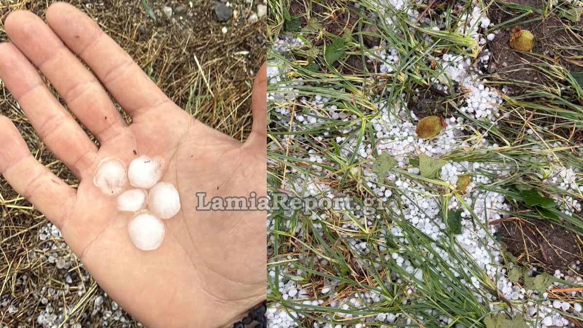 Χαλάζι σε μέγεθος φουντουκιού κατέστρεψε τις δενδροκαλλιέργειες στα Λουτρά Υπάτης (ΒΙΝΤΕΟ)