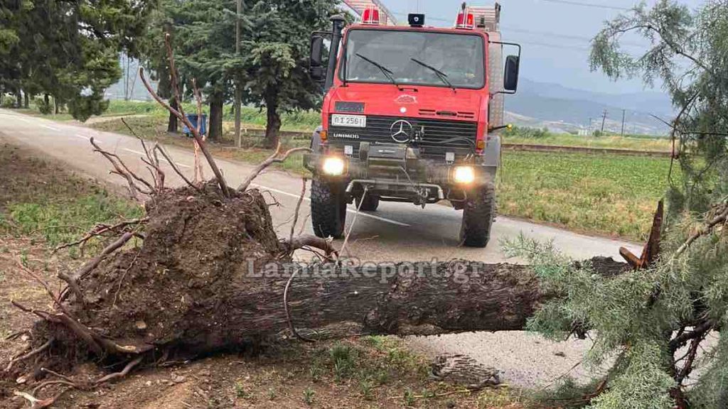Λαμία: Μεγάλες ζημιές από την ισχυρή καταιγίδα που συνοδευόταν από θυελλώδεις ανέμους - Δείτε εικόνες