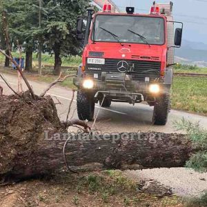 Λαμία: Μεγάλες ζημιές από την ισχυρή καταιγίδα που συνοδευόταν από θυελλώδεις ανέμους - Δείτε εικόνες