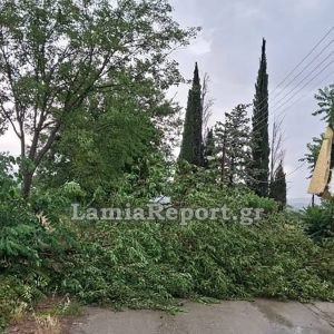 Χαλάζι και θυελλώδεις άνεμοι «σάρωσαν» τη Δυτική Φθιώτιδα