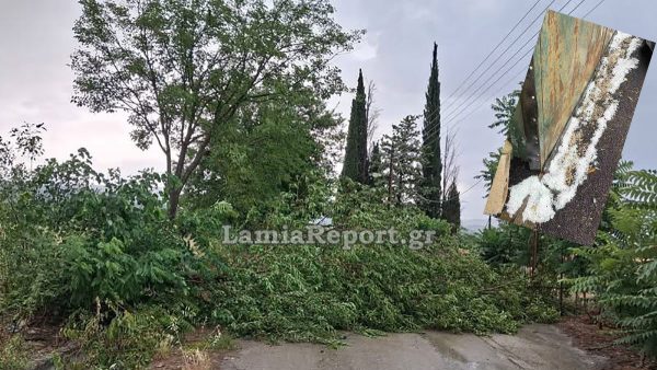 Χαλάζι και θυελλώδεις άνεμοι «σάρωσαν» τη Δυτική Φθιώτιδα