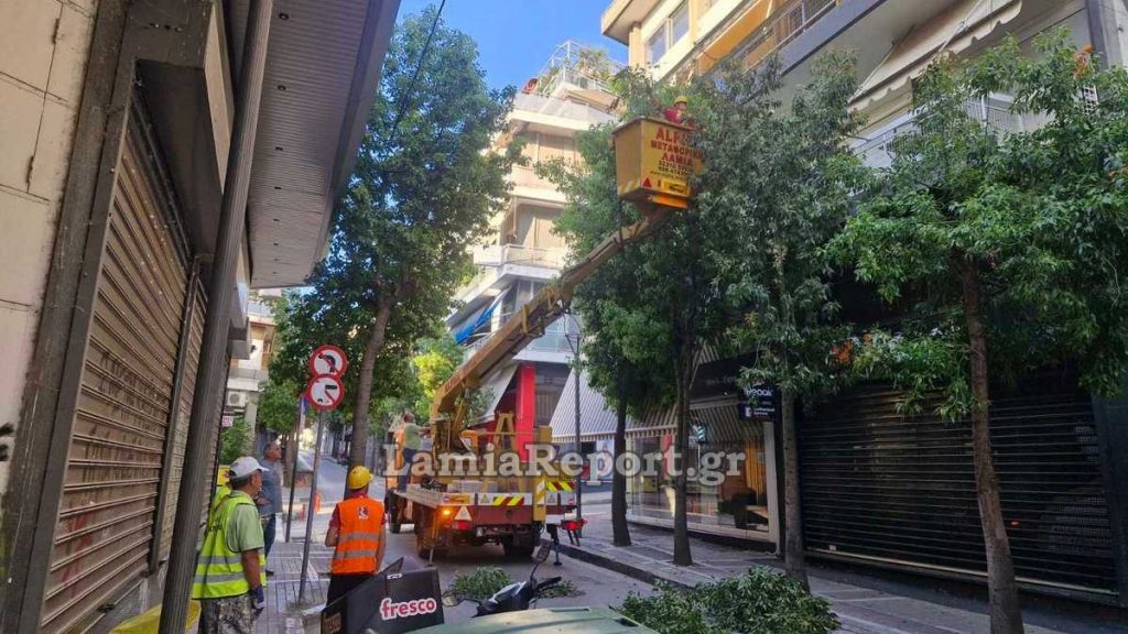 Δήμος Λαμιέων: Επιχείρηση ψηλά δέντρα (ΒΙΝΤΕΟ-ΦΩΤΟ)