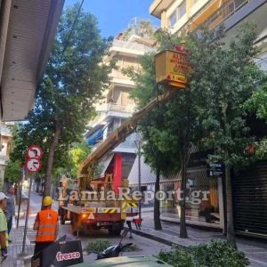 Δήμος Λαμιέων: Επιχείρηση ψηλά δέντρα (ΒΙΝΤΕΟ-ΦΩΤΟ)