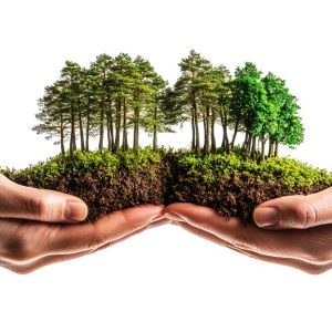 Συνεχίζονται μέχρι την Κυριακή οι δράσεις του ΟΜΦΙΔΑΣ για την Εβδομάδα Περιβάλλοντος 2026