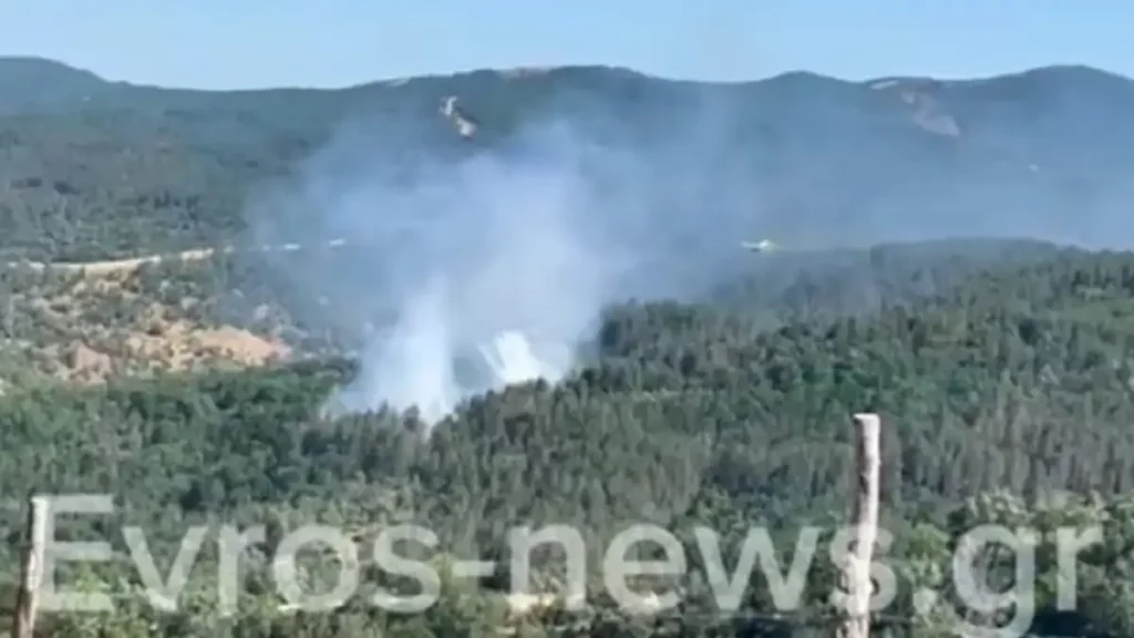 Φωτιά στον Έβρο σε δασική έκταση στο Μέγα Δέρειο