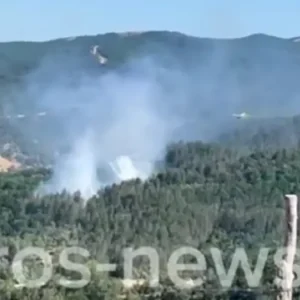 Φωτιά στον Έβρο σε δασική έκταση στο Μέγα Δέρειο