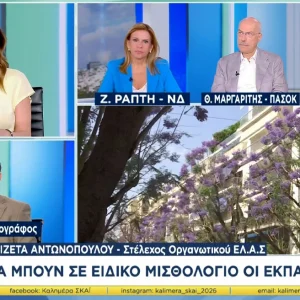Νέο «χτύπημα» από στέλεχος του Τσίπρα: Να φορολογήσουμε τον υπερπλούτο, τα διαμερίσματα με πισίνες και τα κότερα που τρέχουν γρήγορα, δείτε βίντεο