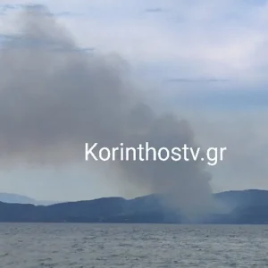 Πυρκαγιά στην Κορινθία: Καίει σε δασική έκταση στη Σκαλωσιά