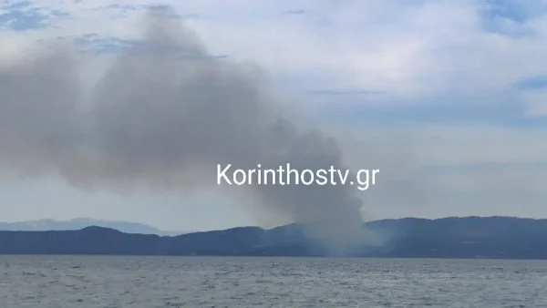 Πυρκαγιά στην Κορινθία: Καίει σε δασική έκταση στη Σκαλωσιά