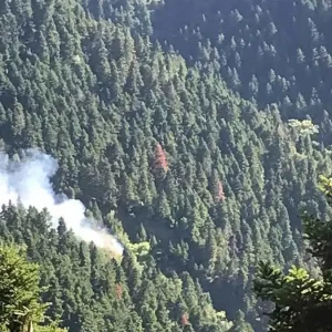 Φωτιά στα Κρυονέρια Ναυπακτίας: Σηκώθηκαν 4 εναέρια μέσα