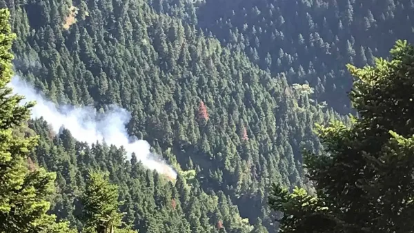 Φωτιά στα Κρυονέρια Ναυπακτίας: Σηκώθηκαν 4 εναέρια μέσα