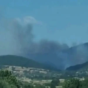 Φωτιά στη Ροδόπη: Καίει αγροτοδασική έκταση στην Παλαιά Κρωβύλη, σηκώθηκαν 5 αεροσκάφη