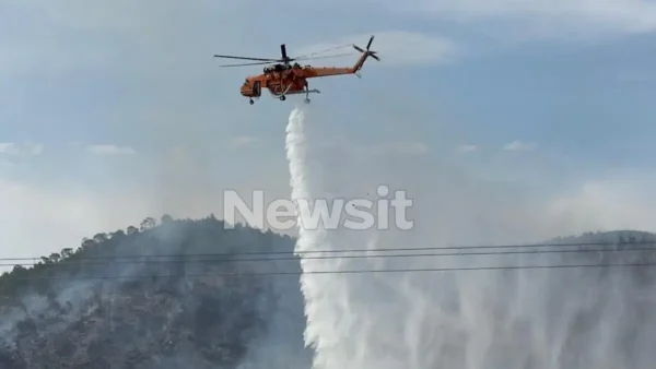 Φωτιά στο Λουτράκι: Συνελήφθη 70χρονος Γάλλος που εκτελούσε αγροτικές εργασίες με χορτοκοπτικό