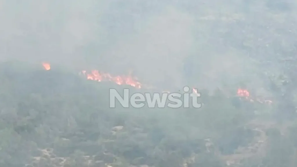 Φωτιά στο Λουτράκι κοντά στη λίμνη Βουλιαγμένης – Ξεκίνησε από χορτοκοπτικό μηχάνημα, ήχησε το 112