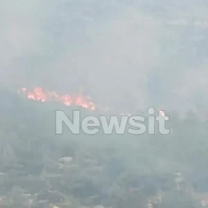 Φωτιά στο Λουτράκι κοντά στη λίμνη Βουλιαγμένης – Ξεκίνησε από χορτοκοπτικό μηχάνημα, ήχησε το 112