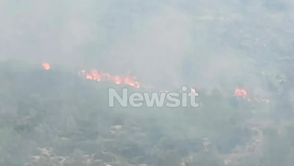 Φωτιά στο Λουτράκι κοντά στη λίμνη Βουλιαγμένης – Ξεκίνησε από χορτοκοπτικό μηχάνημα, ήχησε το 112