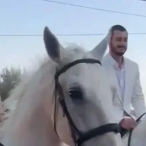 Μπάχι Χούρι – Τάλια Χαϊντάτ: Παραμυθένιος γάμος στην Αθήνα με λευκά άλογα και πάρτι με την Άννα Βίσση και τον Κωνσταντίνο Αργυρό