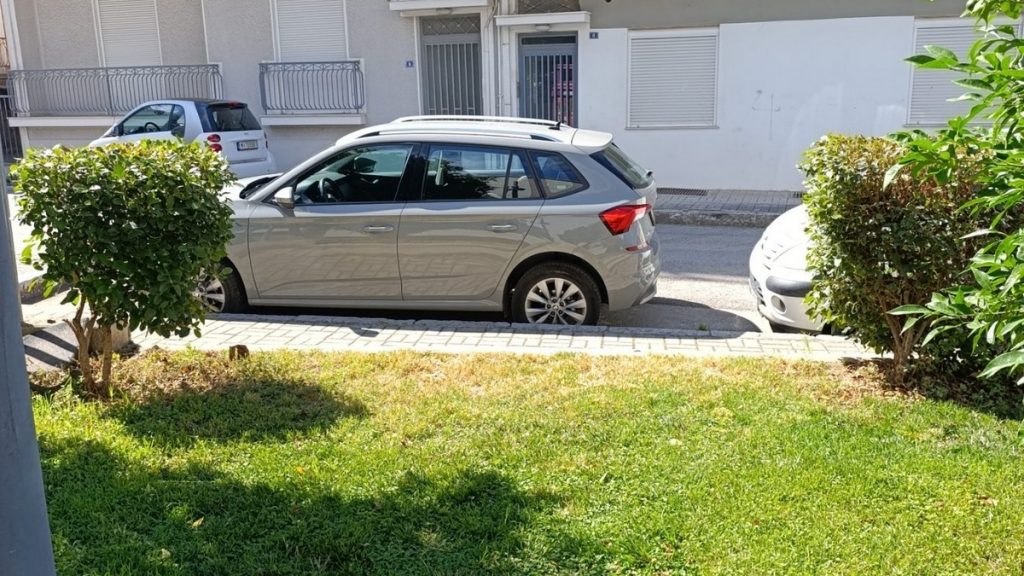 Που πάνε οι περιμετρικοί θάμνοι στο τετράγωνο του Δημοτικού Θεάτρου;